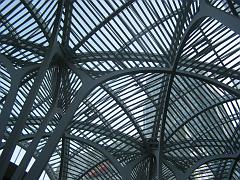 toronto (107)
